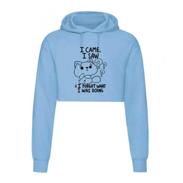 Кроп суичър I CAME, I SAW