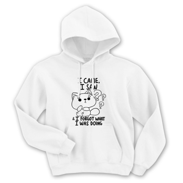 Суичър с щампа I CAME, I SAW